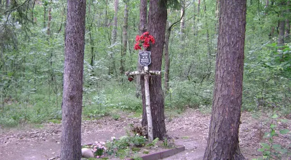 Leśny krzyż z czerwonymi kwiatami, przypominający o treści piosenki "Biały krzyż".