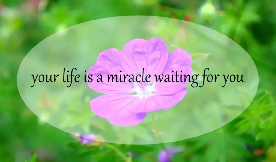 Różowy kwiat na zielonym tle. Napis: "your life is a miracle waiting for you". Twoje życie to cud, który na Ciebie czeka.